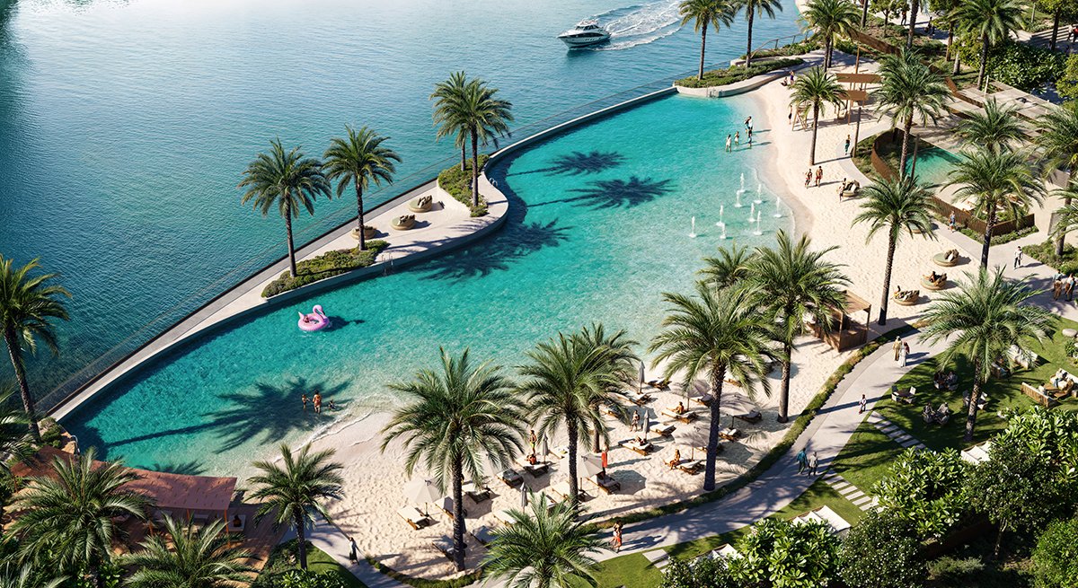 an aerial view of a beach and palm trees